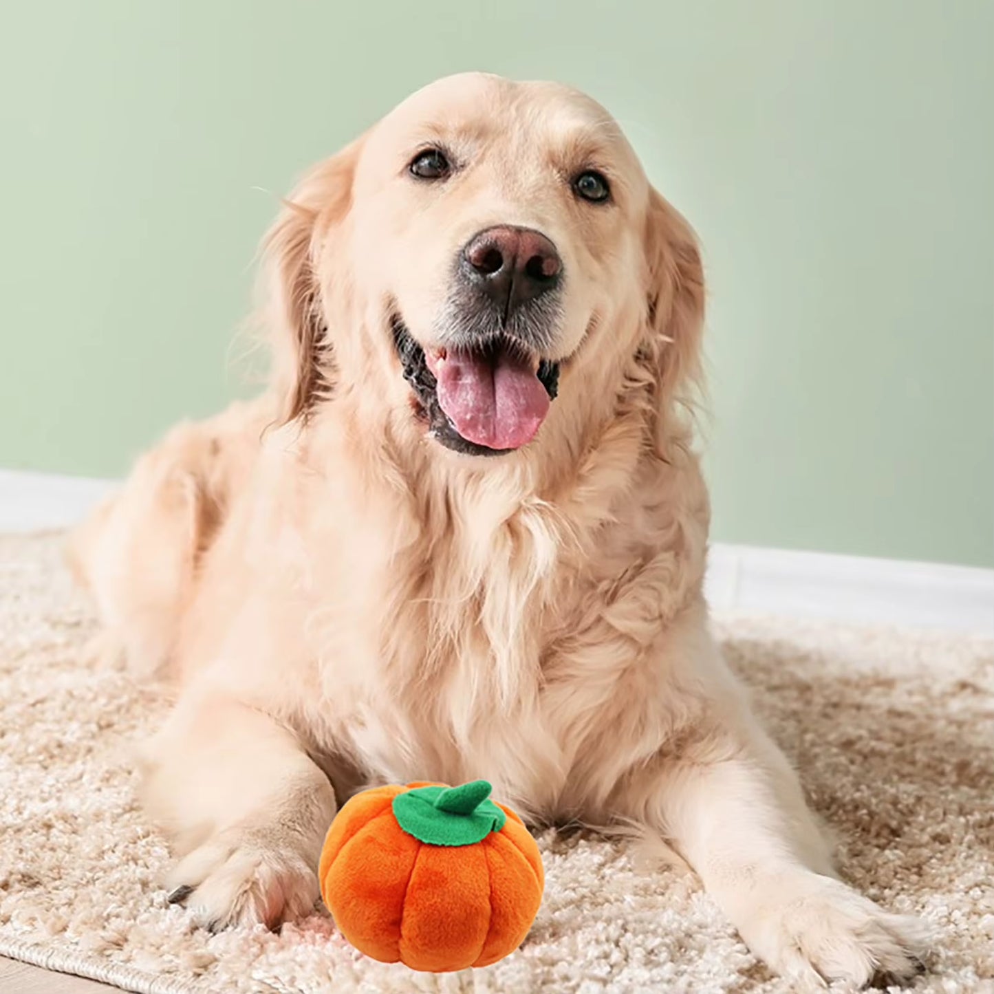 Dog Plush Toy Cute Pumpkin Shape Squeaky Bite Resistant Stuffed Dog Plush Toy for Teeth Grinding Relieve Boredom