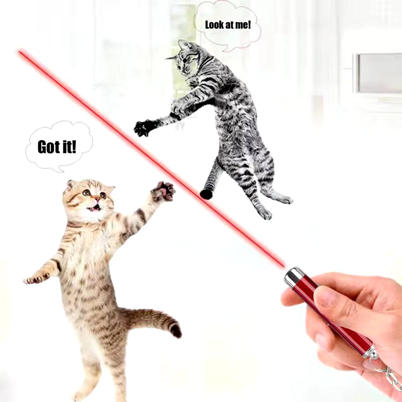 Laser Pointer for Cats Interactive Cat Laser Toy Pet Enrichment Toys for Indoor Cat to Play and Exercise