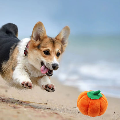 Dog Plush Toy Cute Pumpkin Shape Squeaky Bite Resistant Stuffed Dog Plush Toy for Teeth Grinding Relieve Boredom