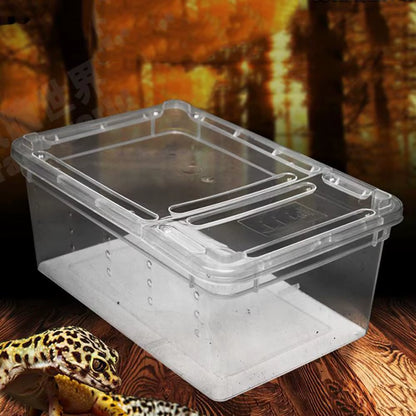 Rearing Box Anti-Deformation Ventilated Pet Breeding Cage Hatching Container Small Pet Reptiles Living Box Terrarium Habitat