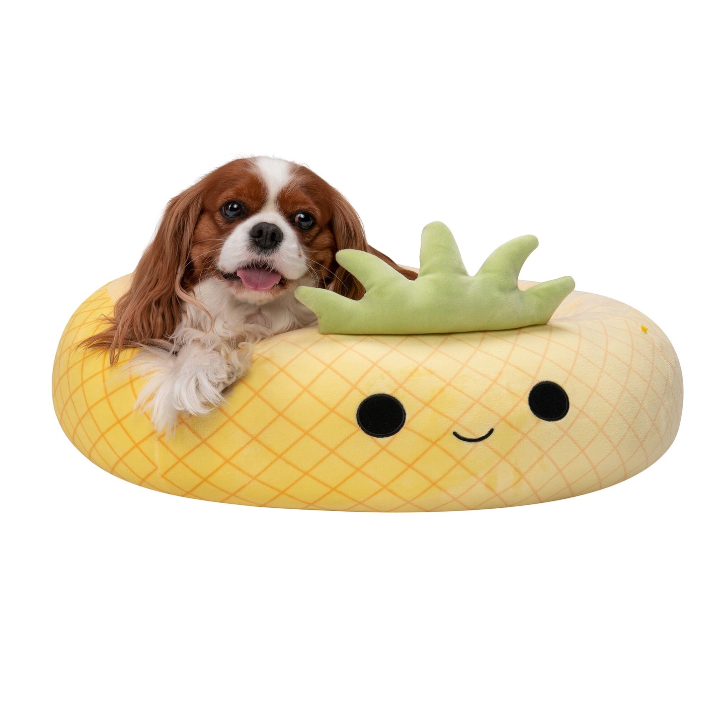 24 Inch Pineapple Pet Bed - Medium Ultrasoft Official  Plush Pet Bed